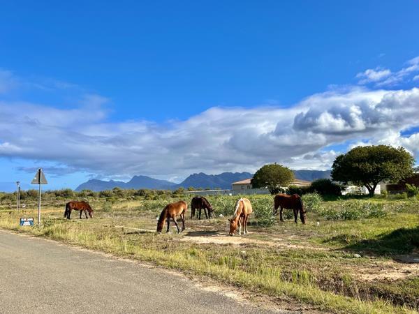 To Let 1 Bedroom Property for Rent in Fisherhaven Western Cape